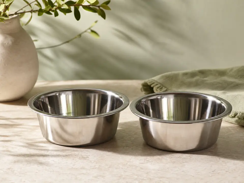 Pair of shallow stainless steel companion-bird food bowls