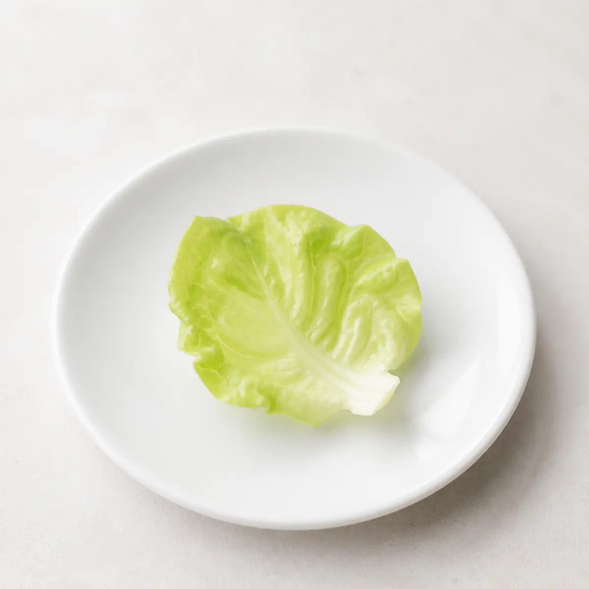 Tiny washed piece of butter lettuce on a saucer