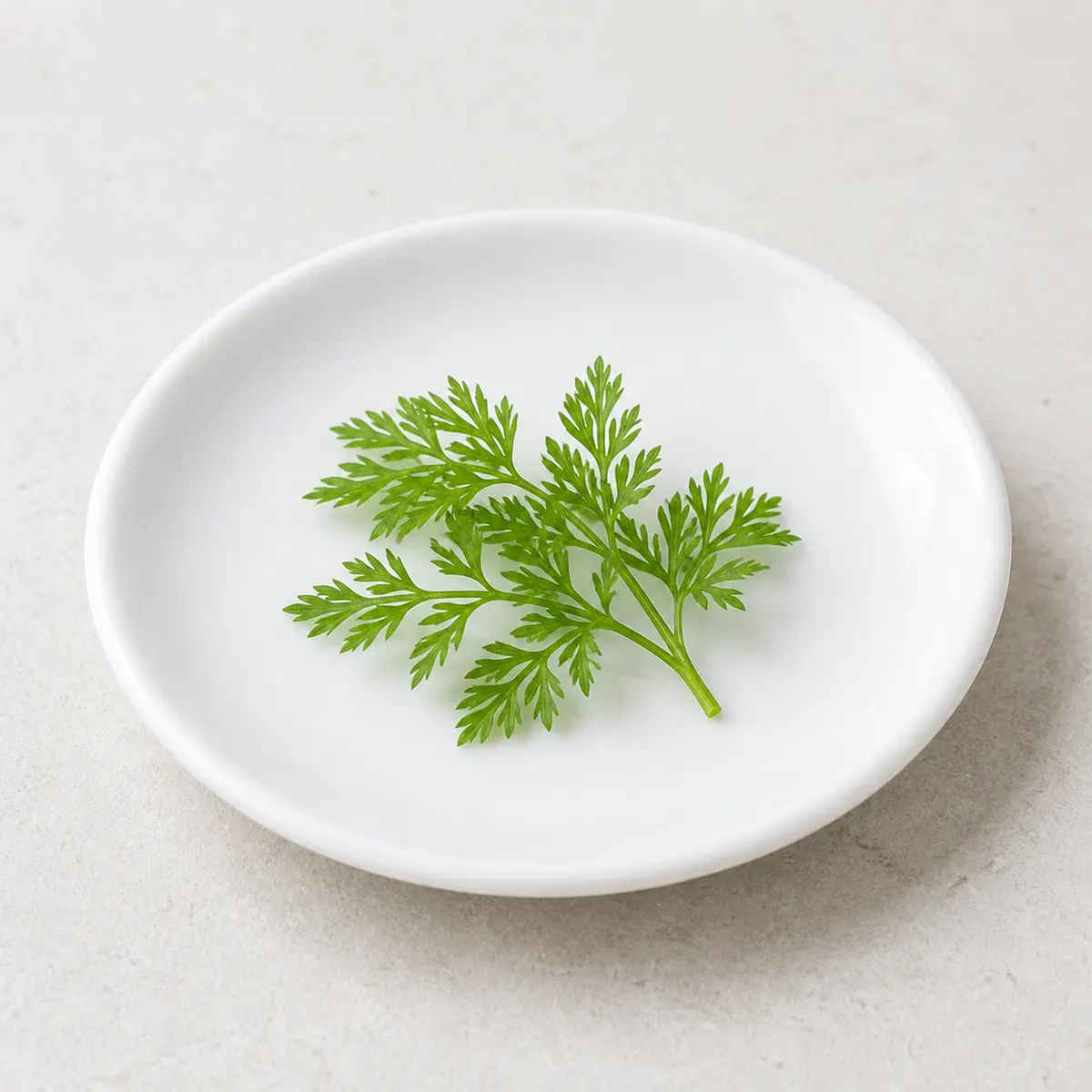 Tiny washed carrot top sprig on a saucer