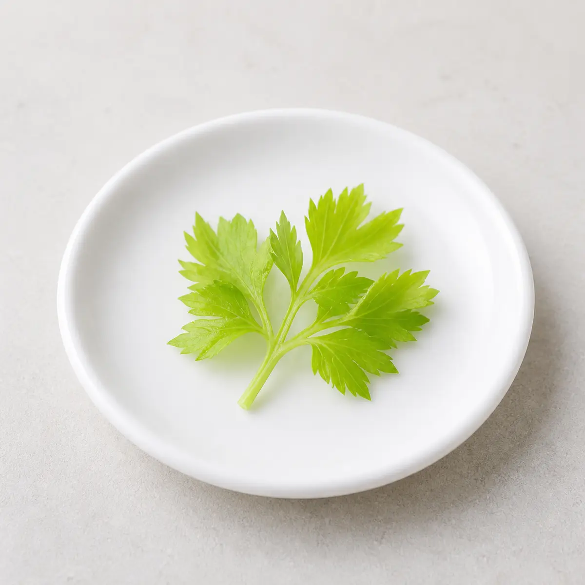 Tiny washed celery leaves on a saucer