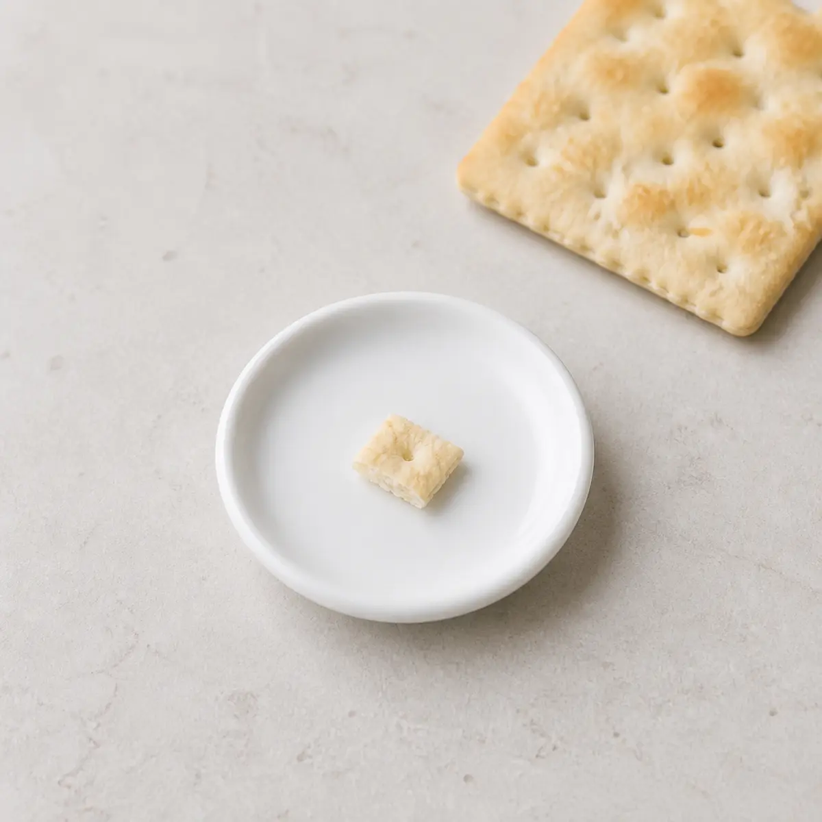 Tiny plain cracker crumb on a saucer