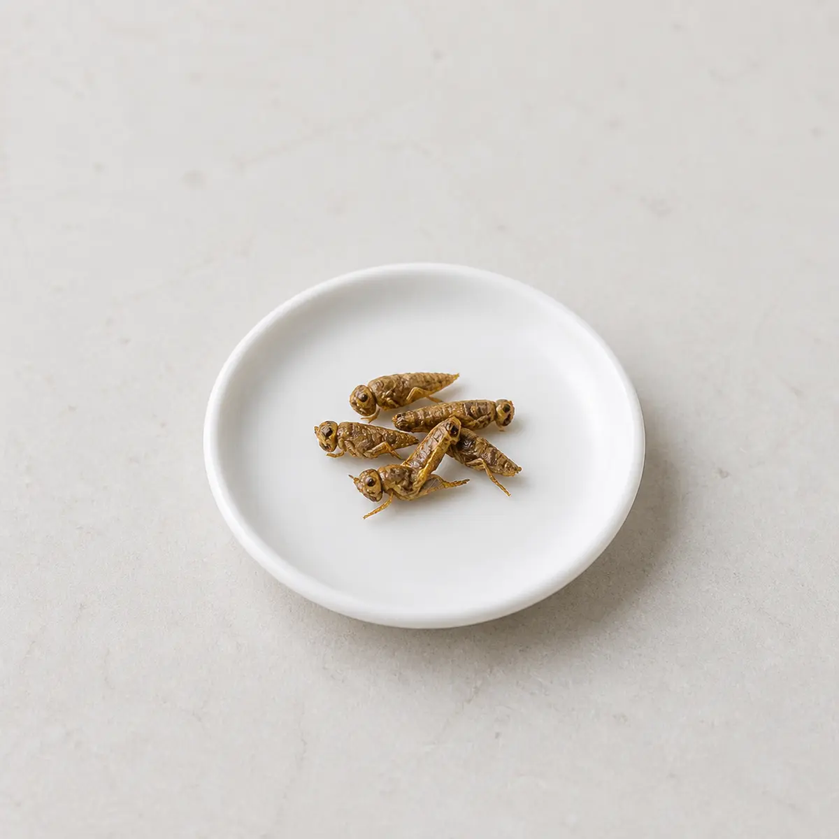 Tiny portion of plain dried edible crickets on a saucer