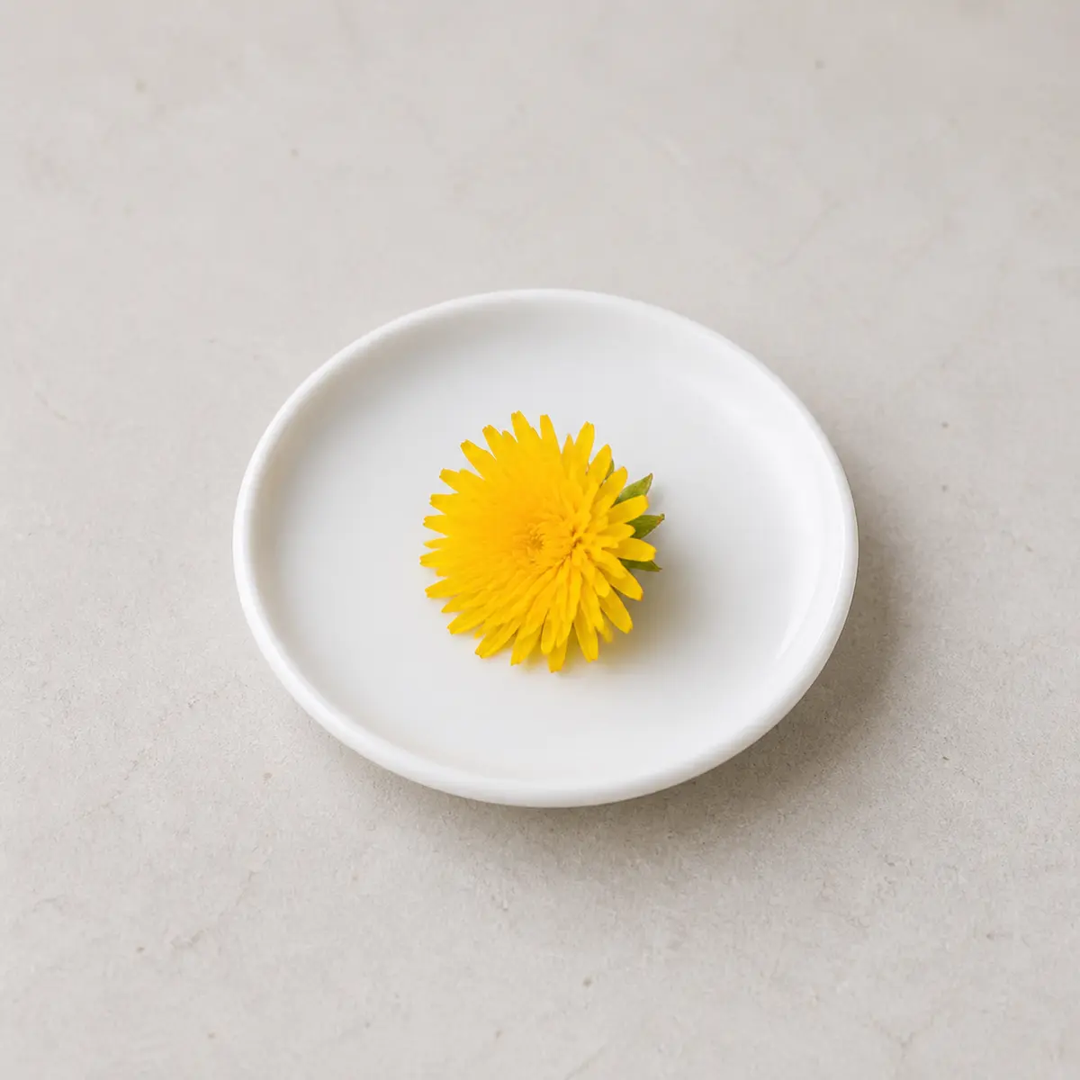 Clean yellow dandelion flower on a saucer