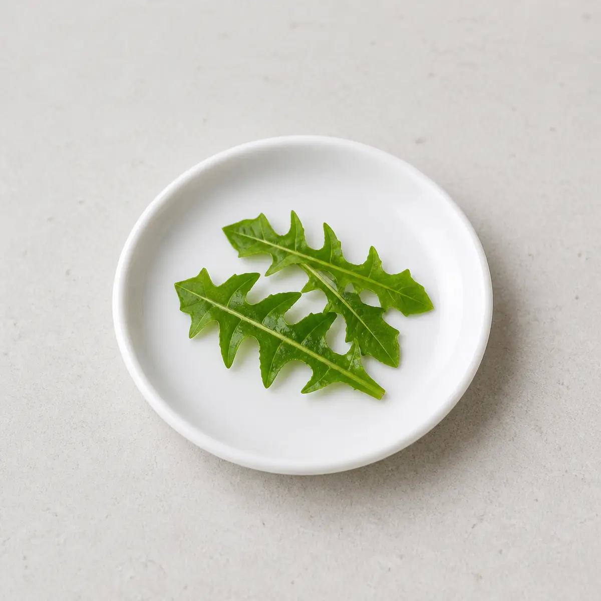 Tiny washed dandelion green leaves on a saucer