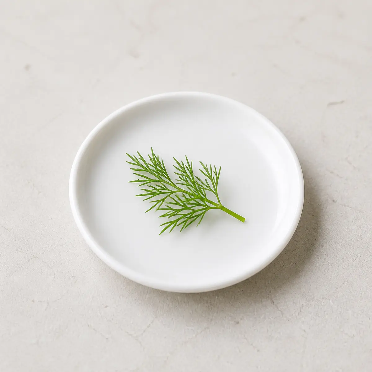 Tiny fresh dill sprig on a saucer
