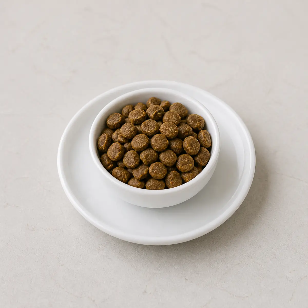 Dry dog kibble in a small white bowl