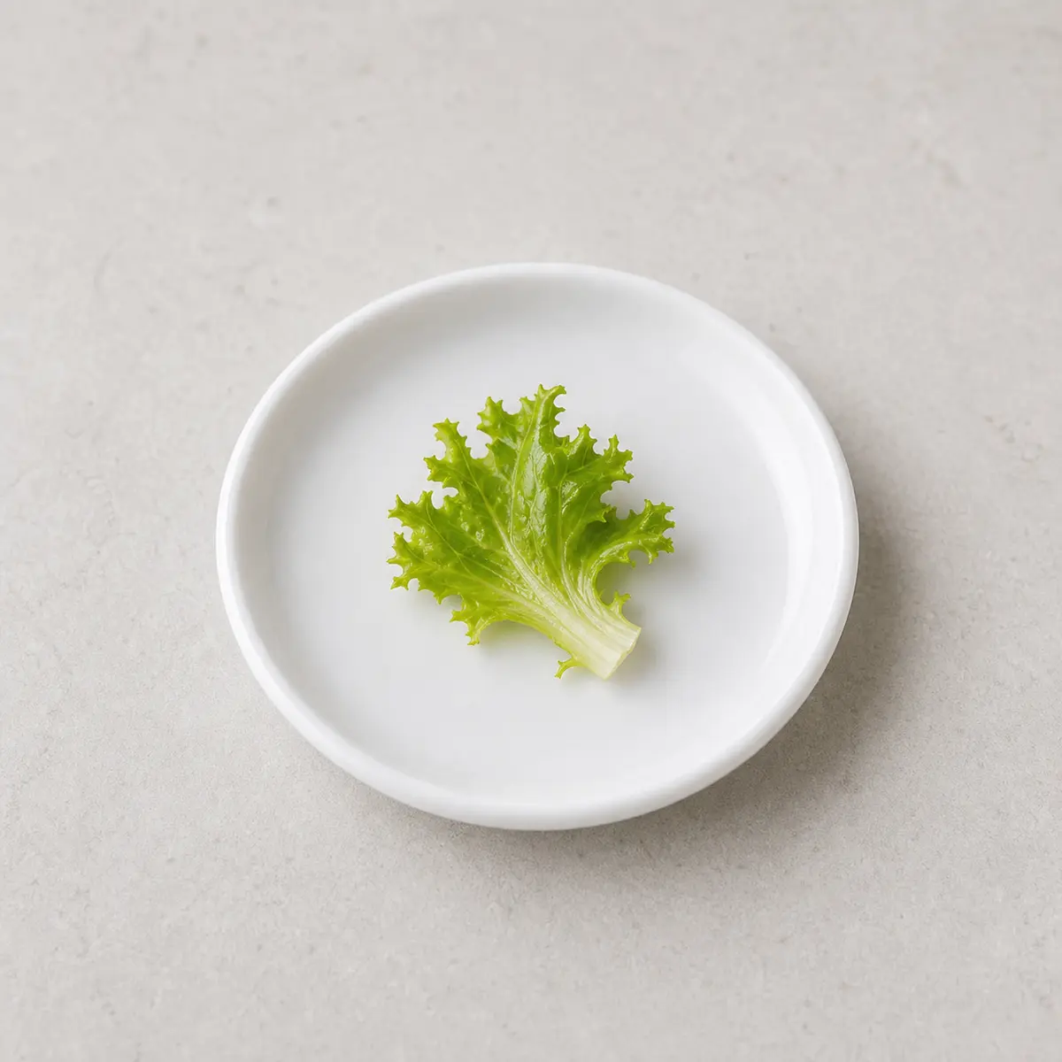 Tiny washed escarole leaf piece on a saucer