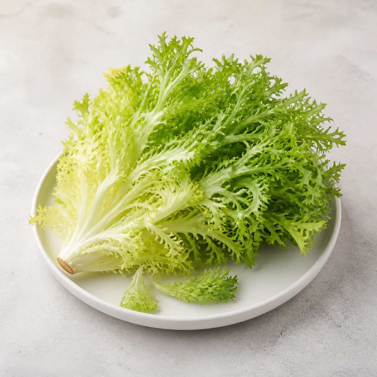 Fresh frisee lettuce leaves on a plate