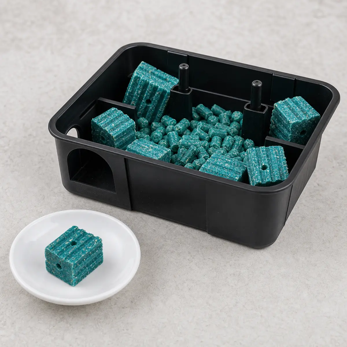 Blue-green rodenticide bait blocks in an unlabeled bait tray with one block on a saucer