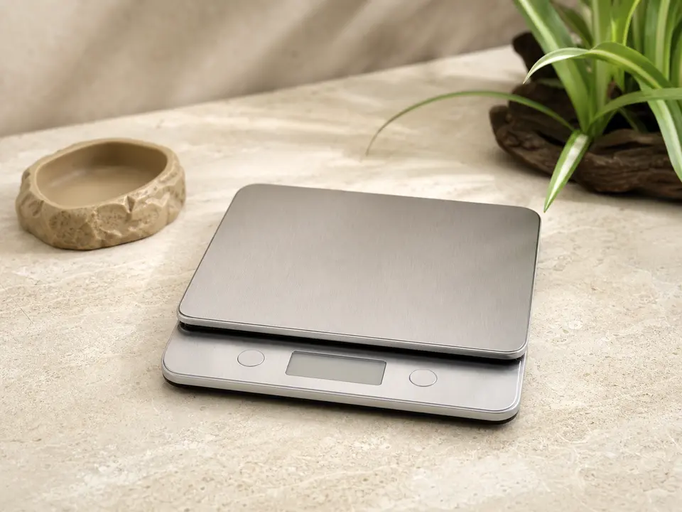 Low digital food scale with a removable weighing tray on a clean prep surface.