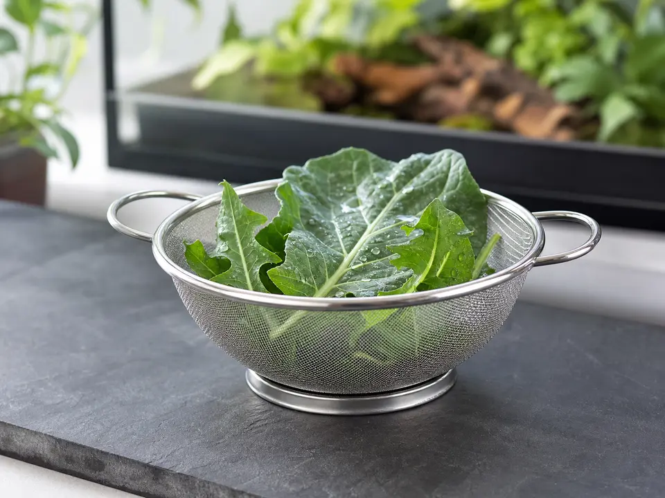 Small fine-mesh produce strainer holding freshly rinsed leafy greens.