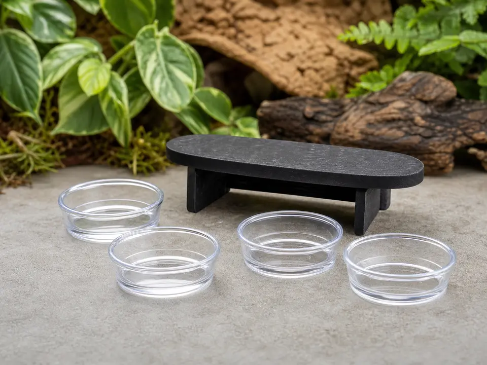 Four clear reusable gecko feeding cups arranged beside an arboreal feeding ledge.