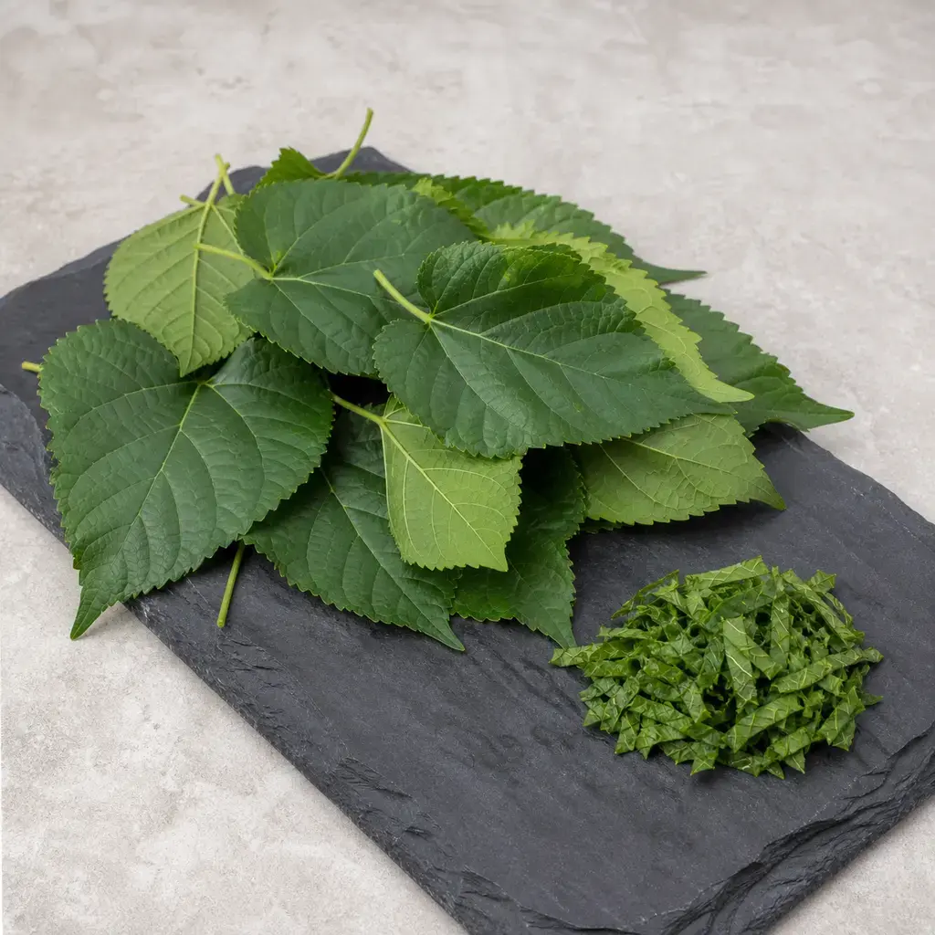 Plain mulberry leaves on a clean unbranded surface for a reptile food-safety check.