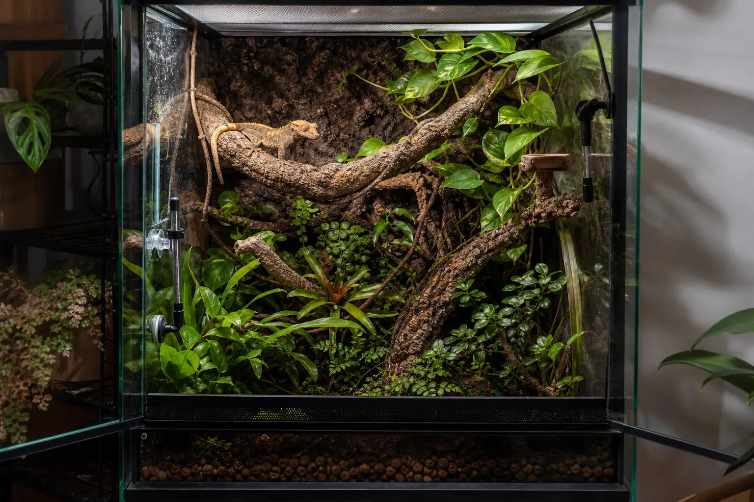 Crested gecko using connected branches and leafy cover throughout a tall planted enclosure with drainage and fixed probes.