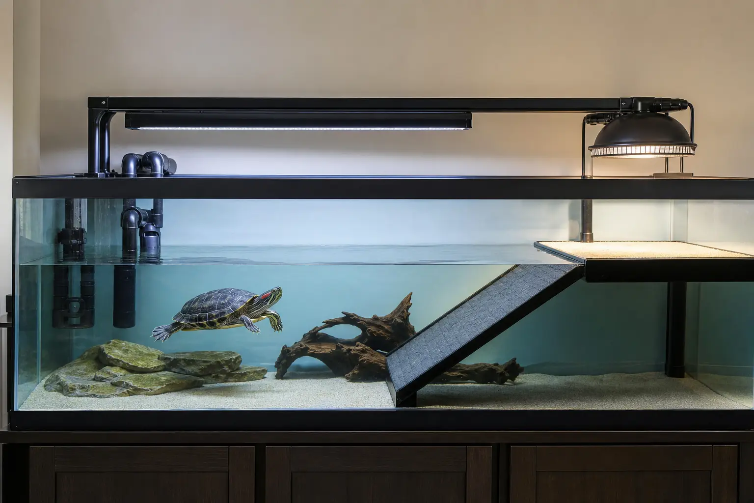 Red-eared slider swimming in a large filtered aquarium with a ramp to a completely dry heated UVB basking dock.