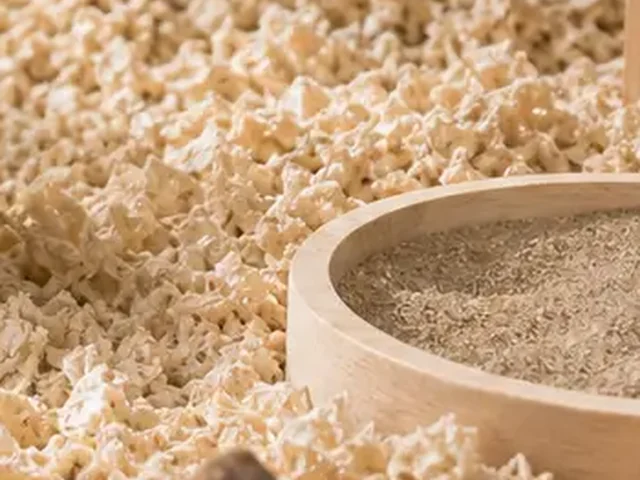 Shallow removable sand bath dish in a dwarf hamster habitat.