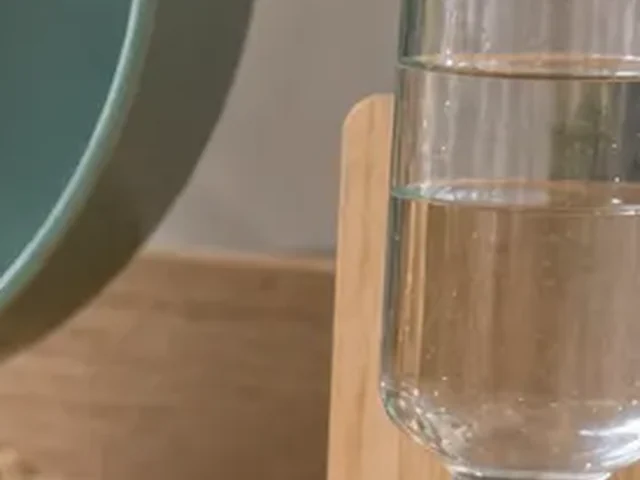 Dwarf hamster water bottle mounted at a reachable height.