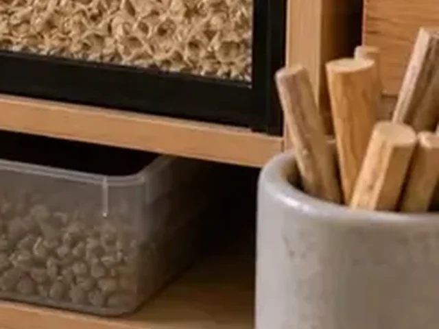 Plain hay and wood chew supplies for gerbil enrichment.