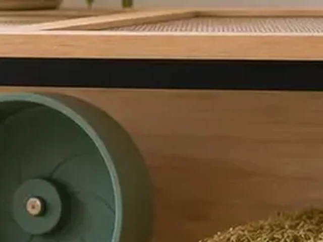 Secure mesh lid on a gerbil tank-style habitat.