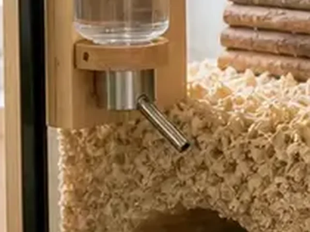 Gerbil water bottle mounted at a reachable height.