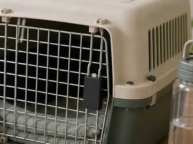 Hard-sided ventilated small-animal carrier with secure latch.