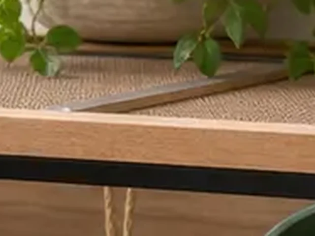 Secure mesh lid on a mouse habitat.