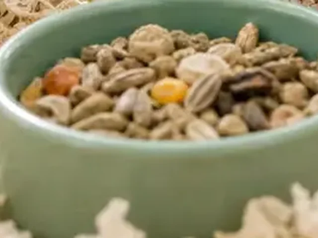 Tiny ceramic bowl for mouse feeding.