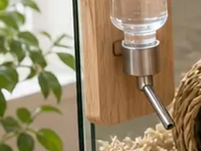 Mouse water bottle mounted at a reachable height.