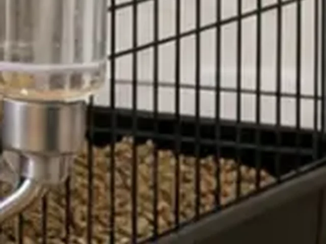 Rat water bottle mounted on a ventilated cage.