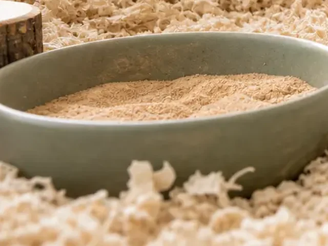 Shallow removable sand bath dish in a Syrian hamster habitat.