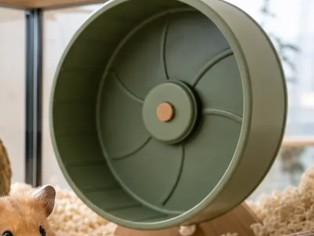 Large solid-surface wheel in a Syrian hamster habitat.