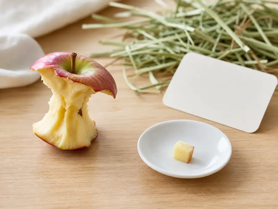 Apple core kept away from a tiny apple portion for a small mammal food-safety check.