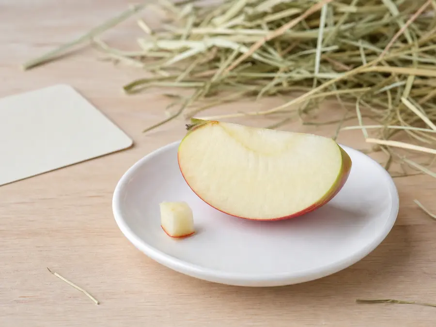 Tiny apple portion on a saucer beside hay for a small mammal food-safety check.