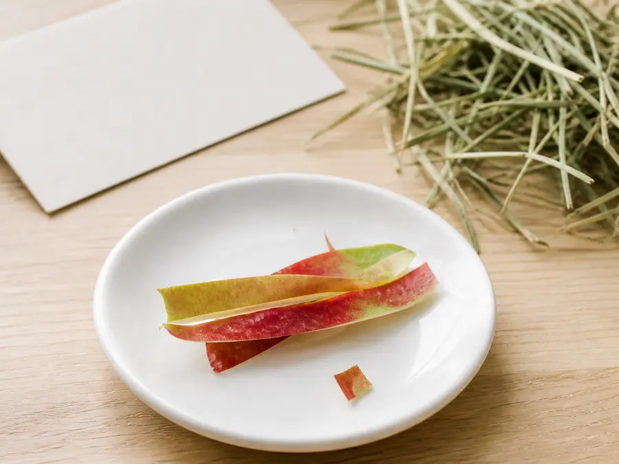 Apple skin and a tiny apple peel portion on a saucer beside hay.