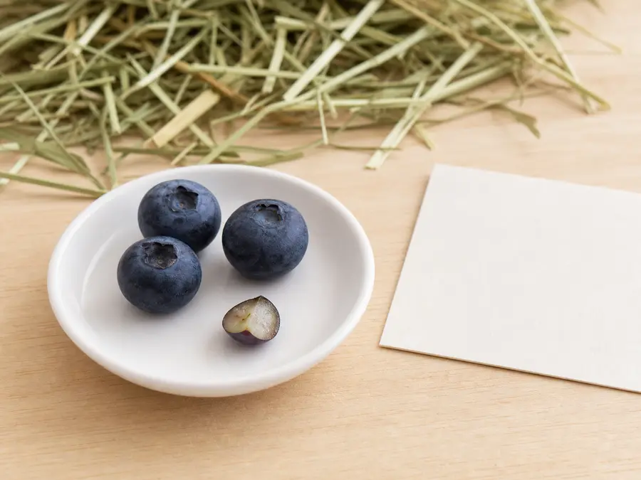 Blueberries and a tiny halved blueberry portion on a saucer beside hay.