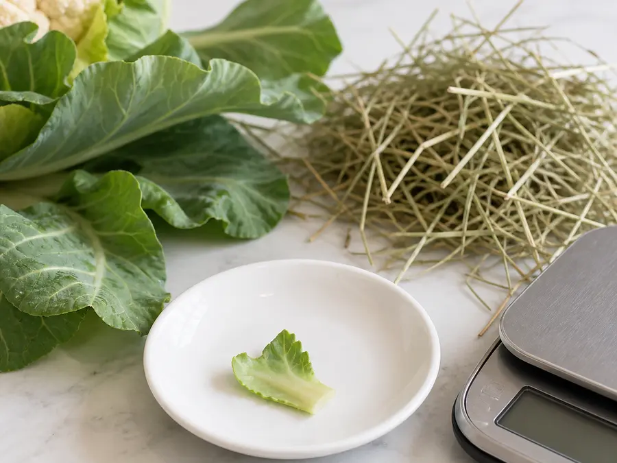 Tiny washed cauliflower leaf piece on a saucer beside fresh cauliflower leaves, hay, and a gram scale.