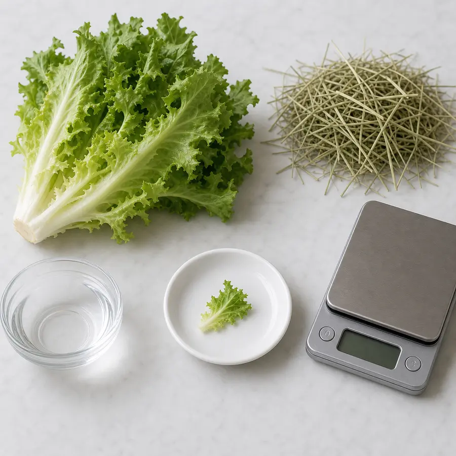Tiny washed escarole leaf piece on a saucer beside fresh escarole, hay, water, and a gram scale.