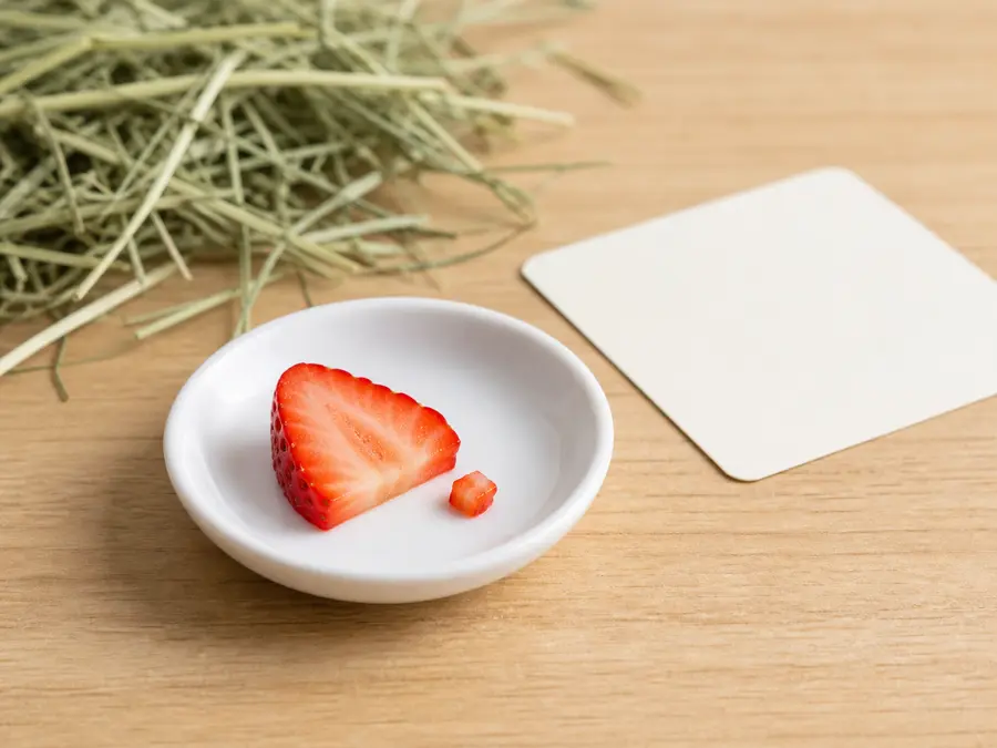 Tiny strawberry portion on a saucer beside hay for a small mammal food-safety check.